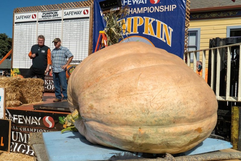 2021-winner-Jeff-Uhlmeyer-awaits-gourd-weighing-lg.jpg