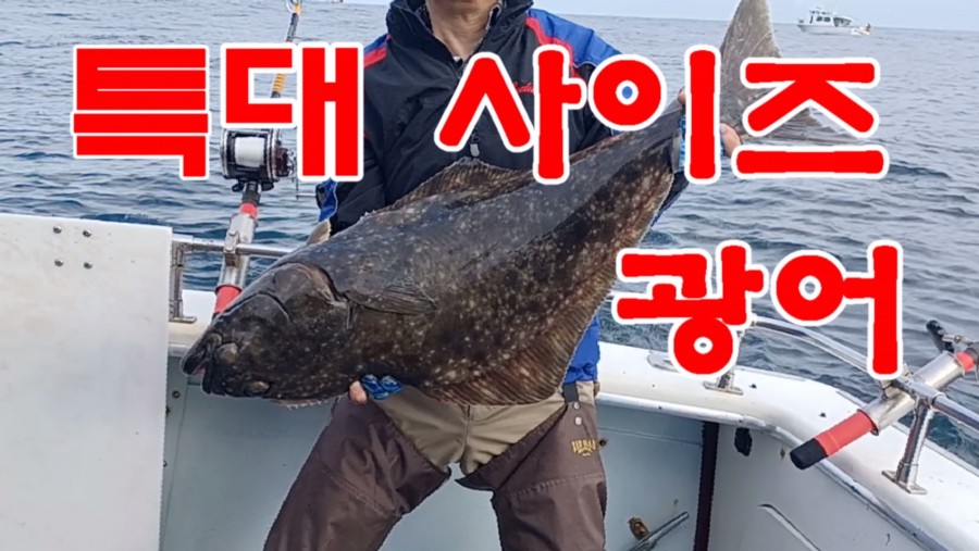 광어낚시 대박 사건.jpg