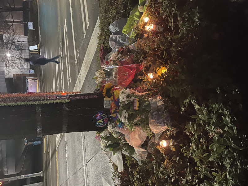 [Resized]Shawn Yim-11 - Copy.jpg